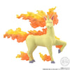 616toys®2701預購・萬代 精靈寶可夢 關都地區 夏伯&烈焰馬&鴨嘴火獸 盒玩 0729