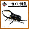 616toys®現貨・【日】一番賞 世界昆蟲博物館 J賞：昆蟲壓克力立牌（未拆隨機16入）