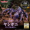 616toys®2608預購・萬代 生物大圖鑑PREMIUM 椰子蟹 紫色 0612