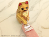 616toys®2609預購・DIG Pripra 招財貓 金治款 組裝模型 0610