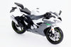 【616toys】童友社 1/12 完成品 2023 川崎 Ninja ZX-6R
