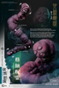 616toys®2612預購・ASMUS TOYS 阿斯馬玩具 咒術迴戰 伏黑甚爾 1/6 可動 0623