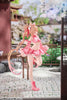 616toys®2609預購・VIOLET STUDIO DSマイル 原畫 蘇小小 1/6 公仔 0604
