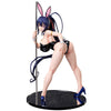 616toys®2610預購・FREEing 惡魔高校D×D HERO 姬島朱乃 裸腿兔女郎 2nd 1/4 0608