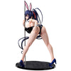616toys®2610預購・FREEing 惡魔高校D×D HERO 姬島朱乃 裸腿兔女郎 2nd 1/4 0608