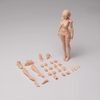 616toys®2612預購・Romankey UMS004 米婭 無塗裝版 1/12 超可動女素體 0630