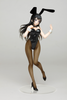 616toys®2611預購・TAITO 景品 Coreful 青春豬頭少年系列 櫻島麻衣 兔女郎Ver 0629