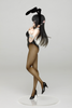 616toys®2611預購・TAITO 景品 Coreful 青春豬頭少年系列 櫻島麻衣 兔女郎Ver 0629