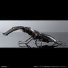 616toys® 2603預購・萬代 生物大圖鑑PREMIUM 巨顎叉角鍬形蟲 黑 盒玩 0105