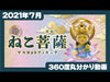 616toys®現貨・轉蛋 Qualia 貓菩薩 (全6種)